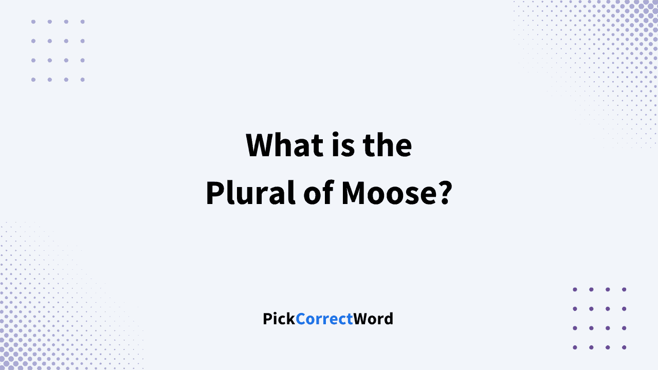 plural of moose