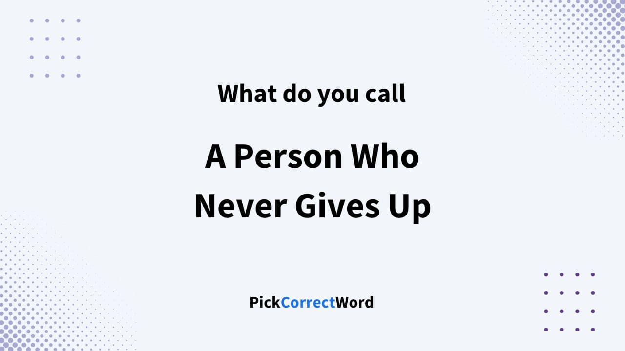 person who never gives up