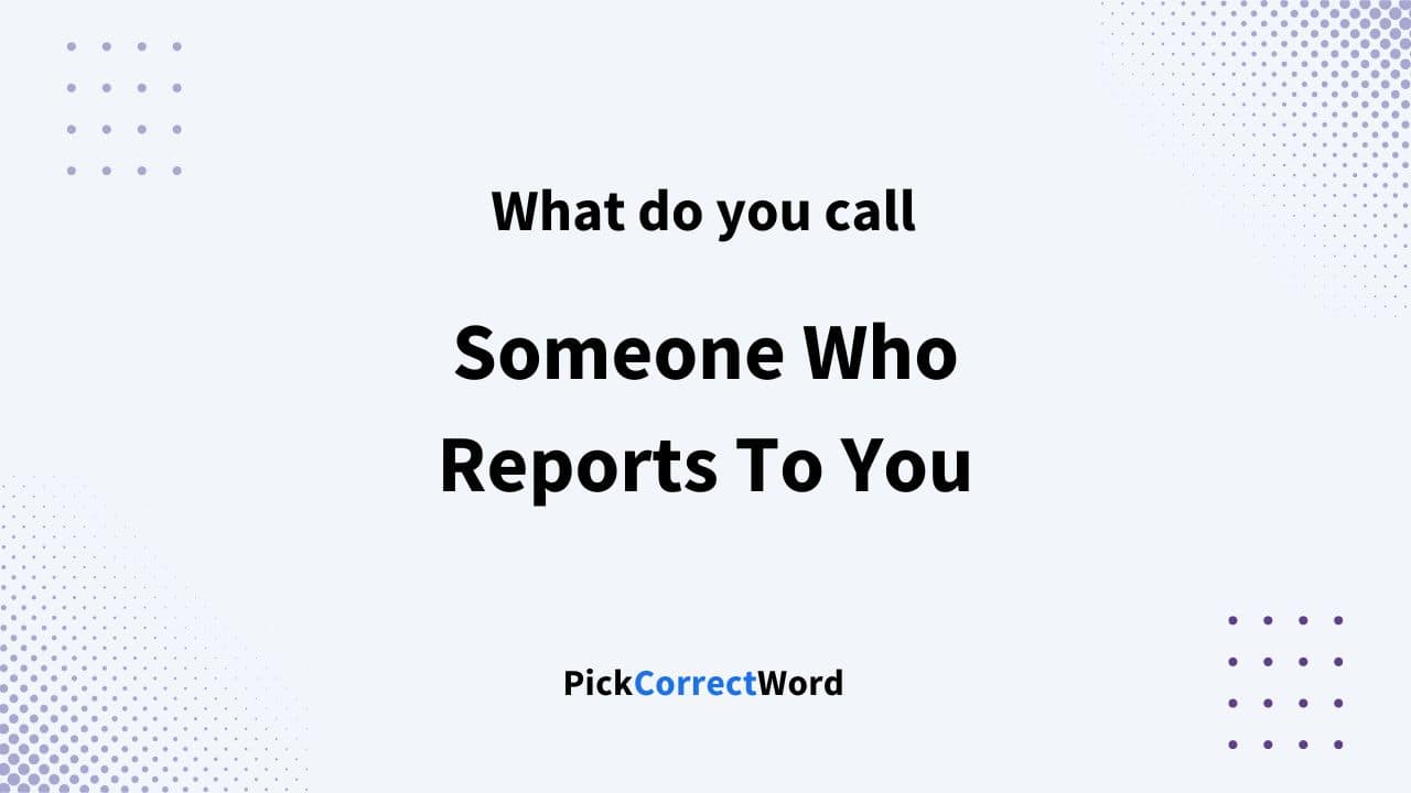 what-do-you-call-someone-who-reports-to-you